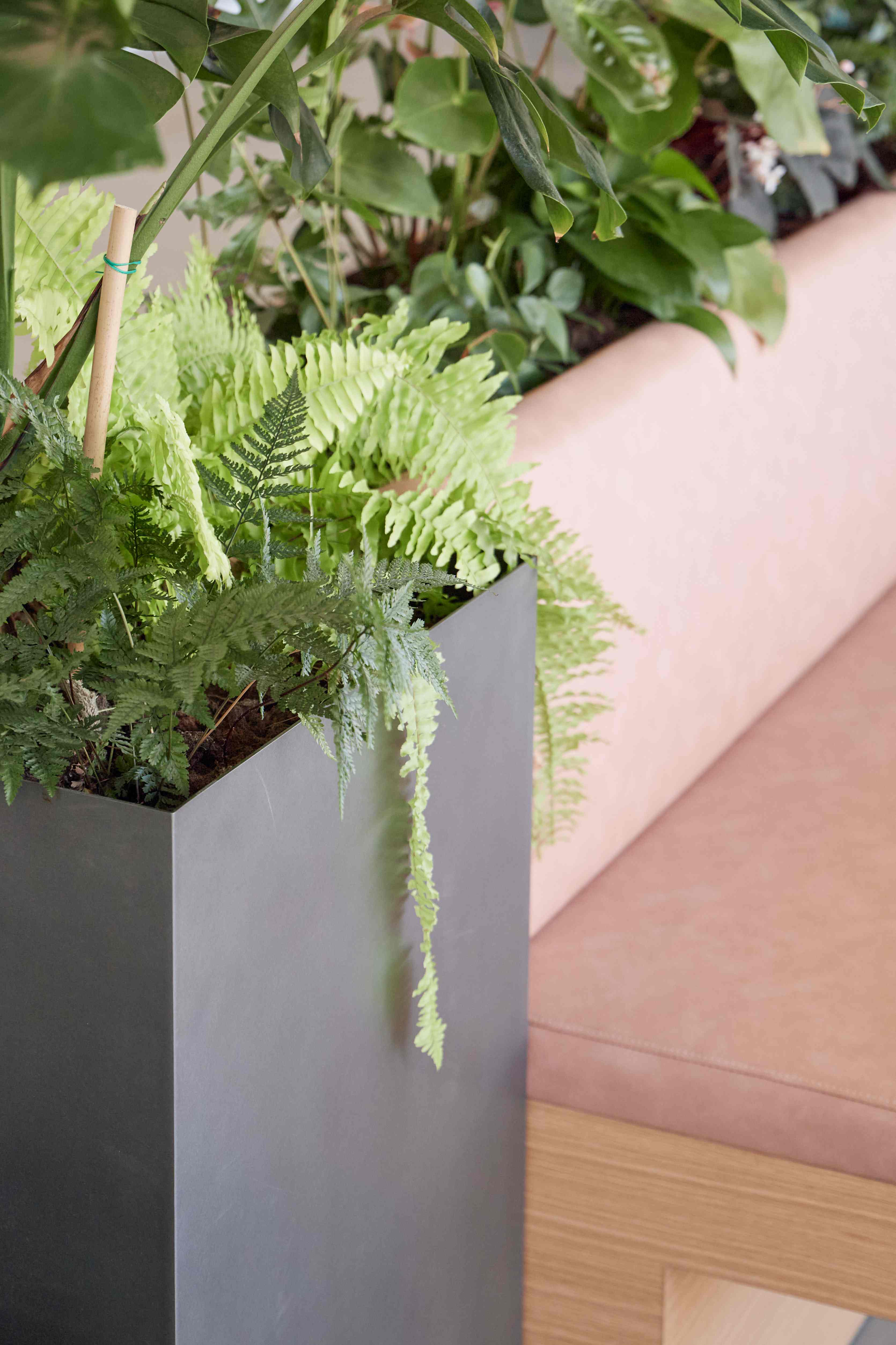 蟠龙天地商业展厅 蟠龙天地商业展厅