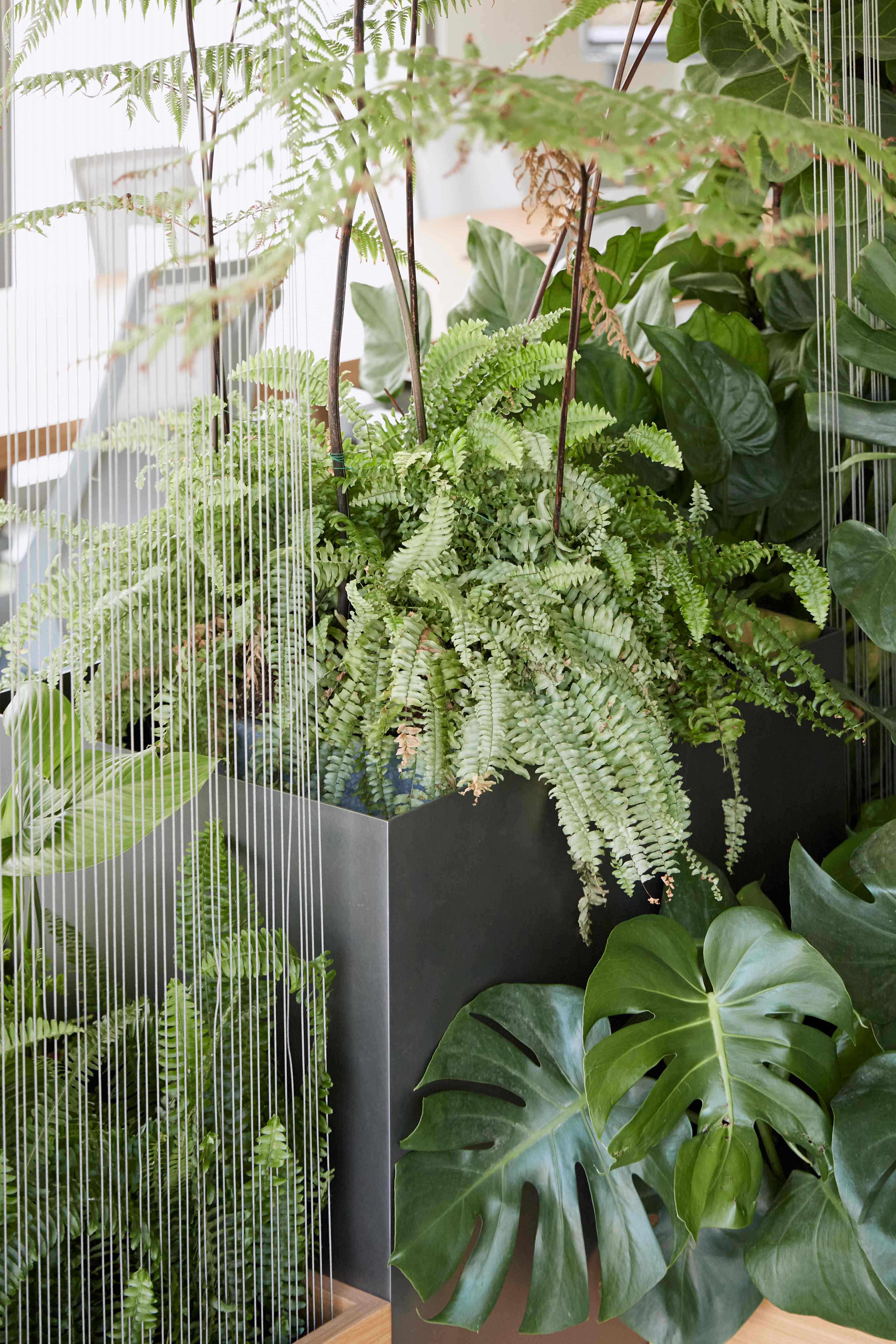 蟠龙天地商业展厅 蟠龙天地商业展厅